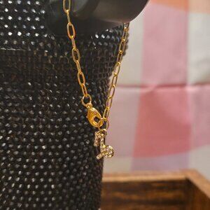 Capricorn Zodiac Sign Tumbler Charm